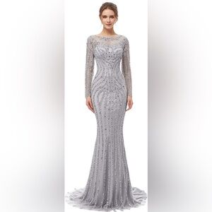 Stunning Silver Long Sleeve Gown